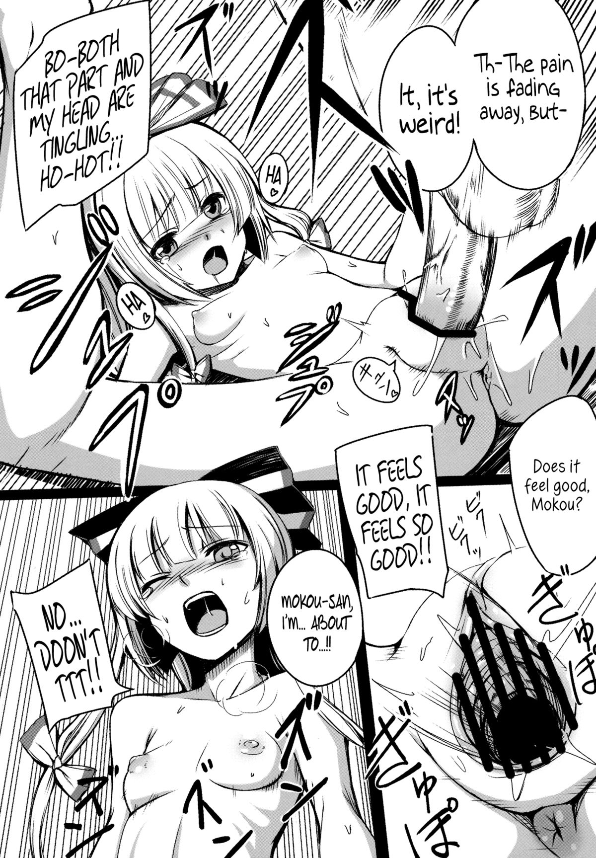 (サンクリ57) [スサノアラシ (竹森真太郎)] 彼女たちの秘密 (東方Project) [英訳]