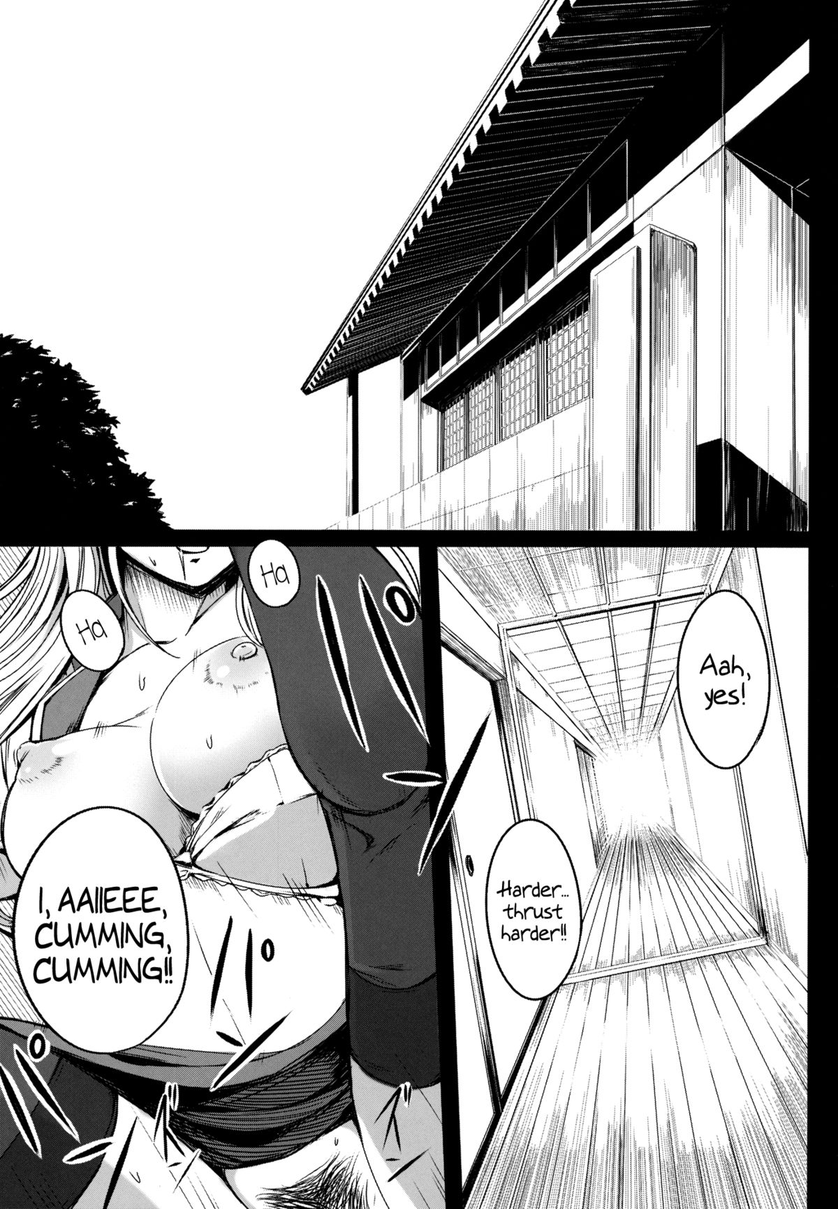 (サンクリ57) [スサノアラシ (竹森真太郎)] 彼女たちの秘密 (東方Project) [英訳]