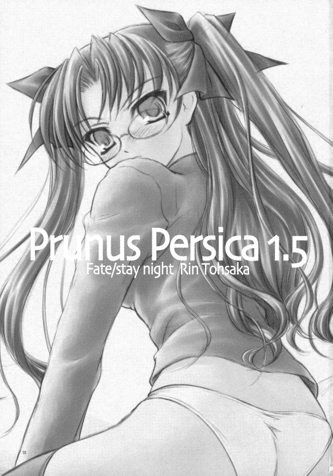 (COMIC1☆2)[薬缶本舗 ＆ 夜間飛行 (いのうえとみい)] Prunus Persica 1.5 (Fate/stay night)