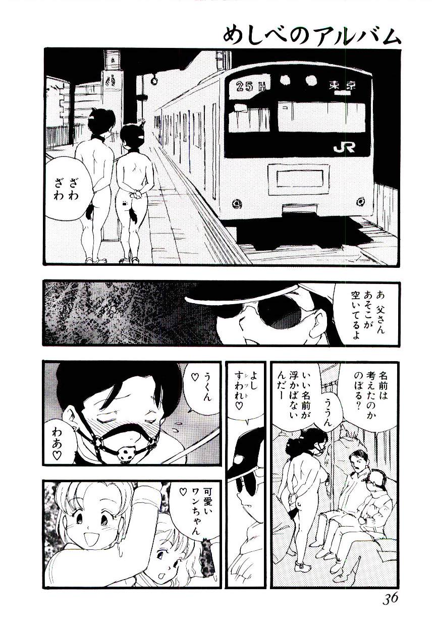 [海明寺裕] めしべのアルバム