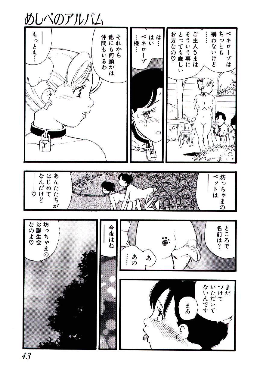 [海明寺裕] めしべのアルバム