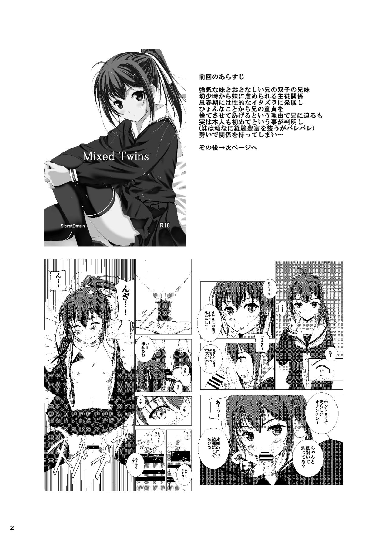 [Secret Dmain] Mixed Twins 2 [DL版]