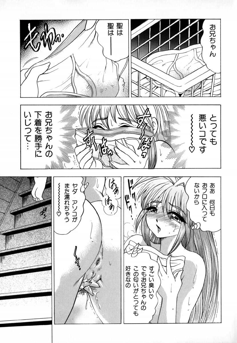[美女木ジャンクション] 淫夢
