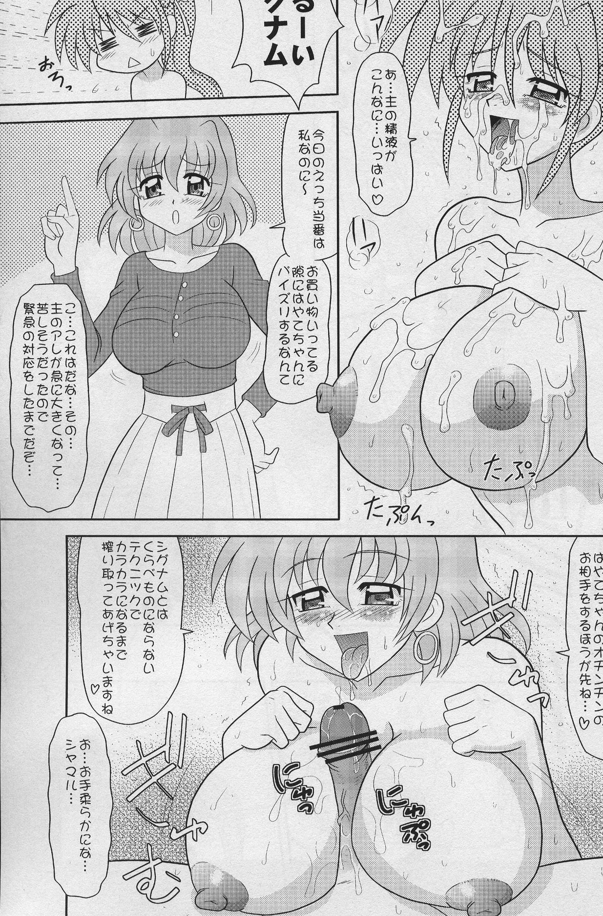 [陸奥屋 (陸奥流)] スゴイ勢い 拾八 (魔法少女リリカルなのは)