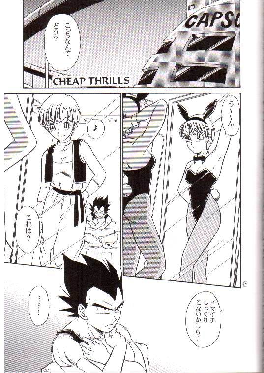 (C66) [龍神会 (HITOりぶき)] CHEAP THRILLS (ドラゴンボールZ)