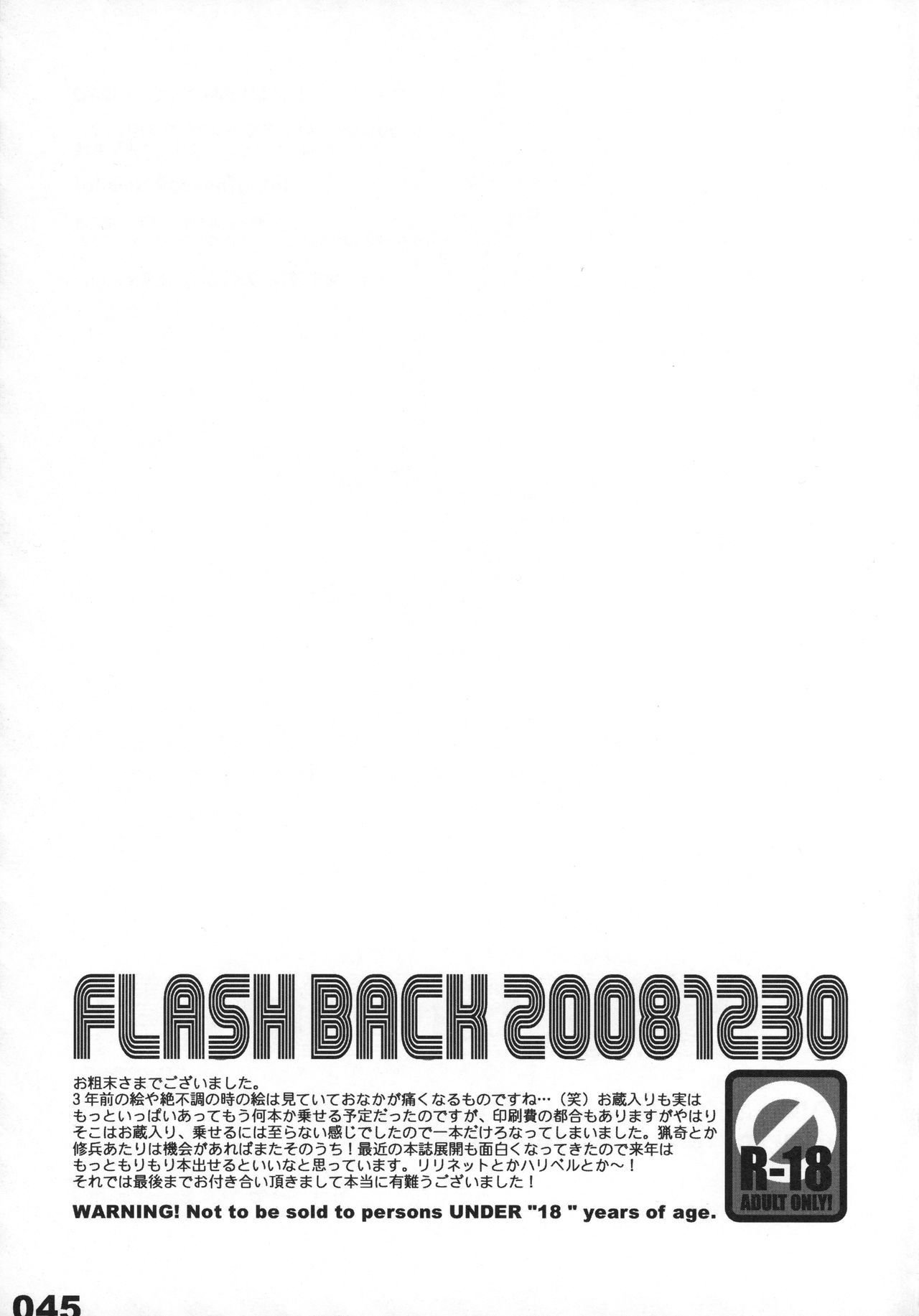 フラッシュバック20081230