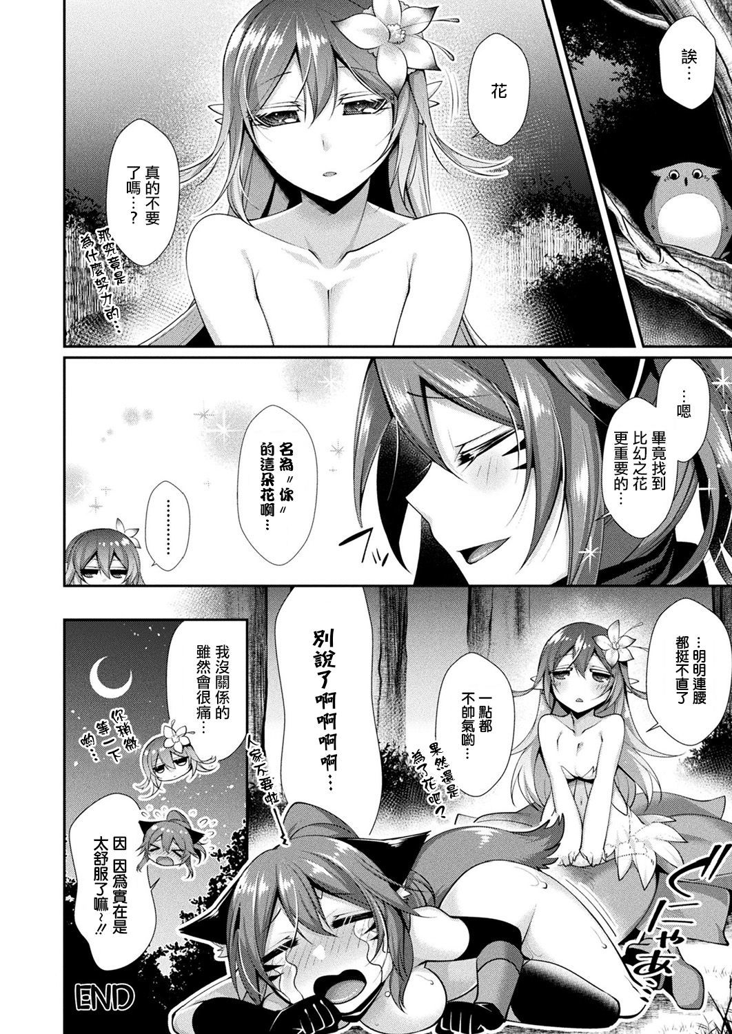 エルマからマボロシのハナへ