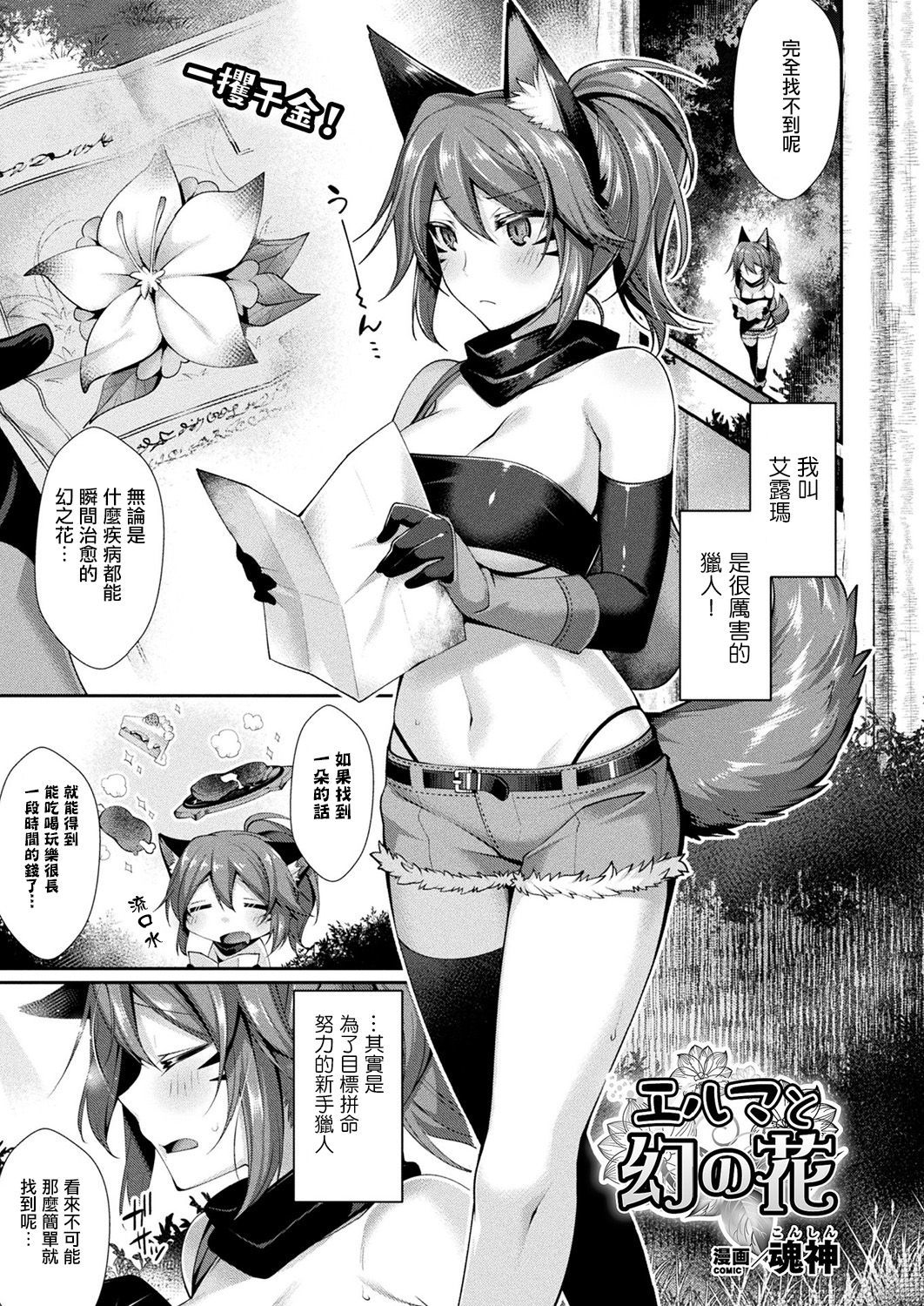エルマからマボロシのハナへ
