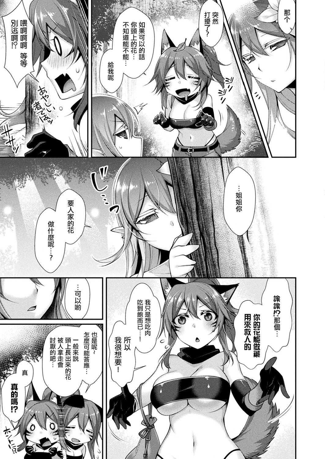 エルマからマボロシのハナへ