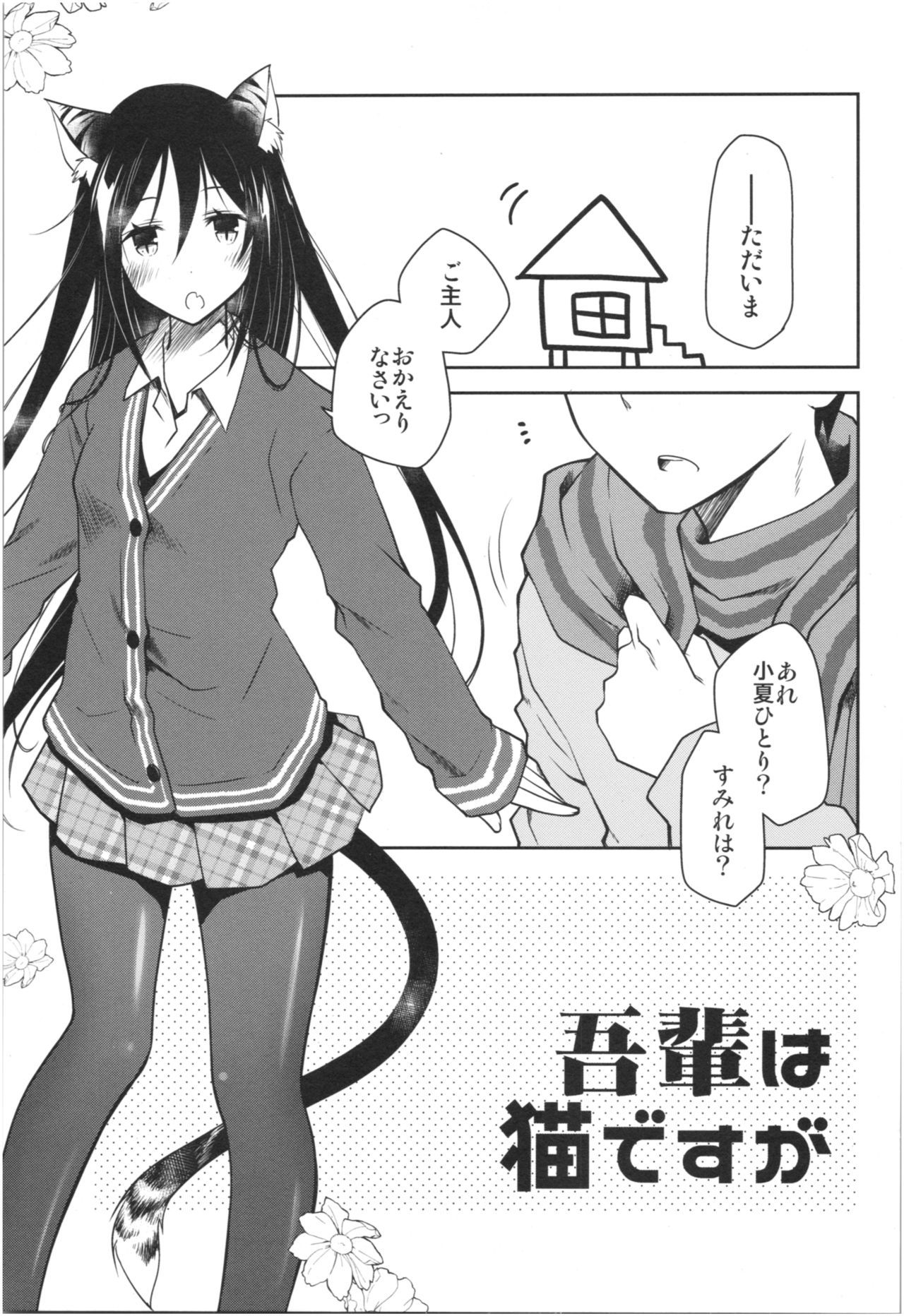 ミミと七宝のある倉石