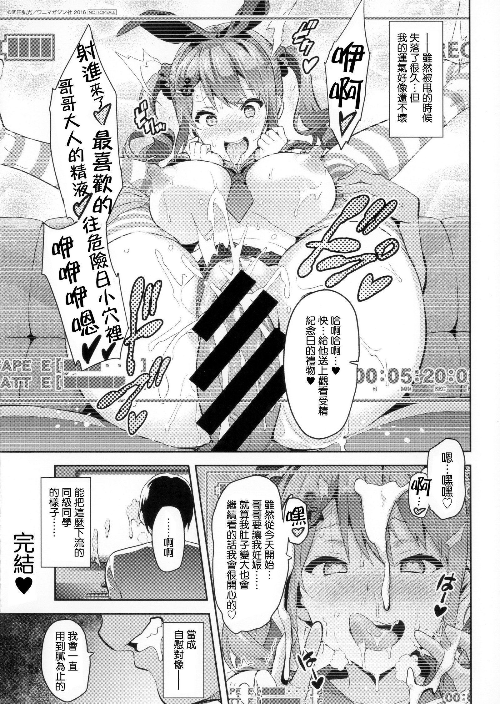 シスターブリーダー