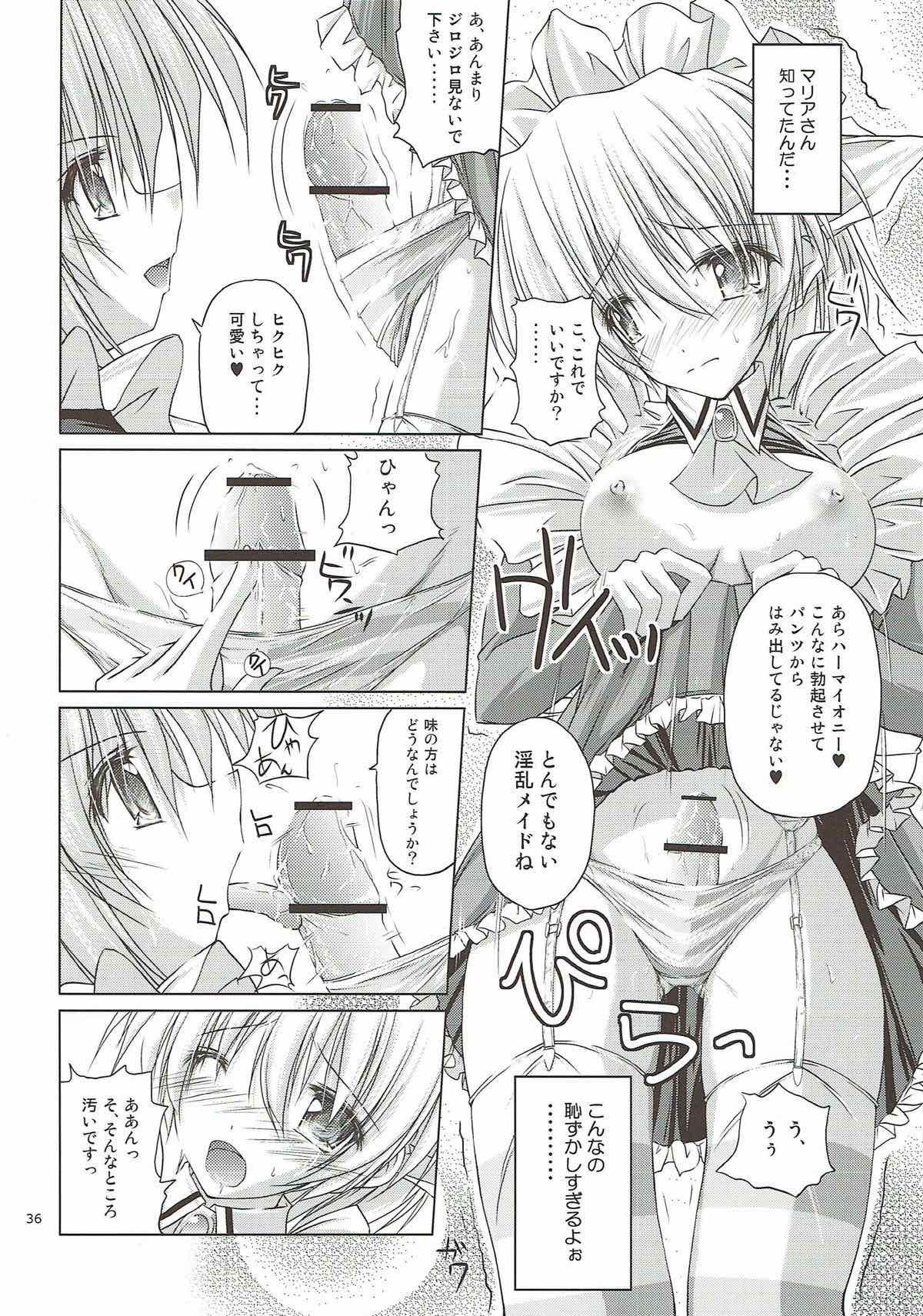 r.i.sアーカイブ1-ハヤテ本総集編-