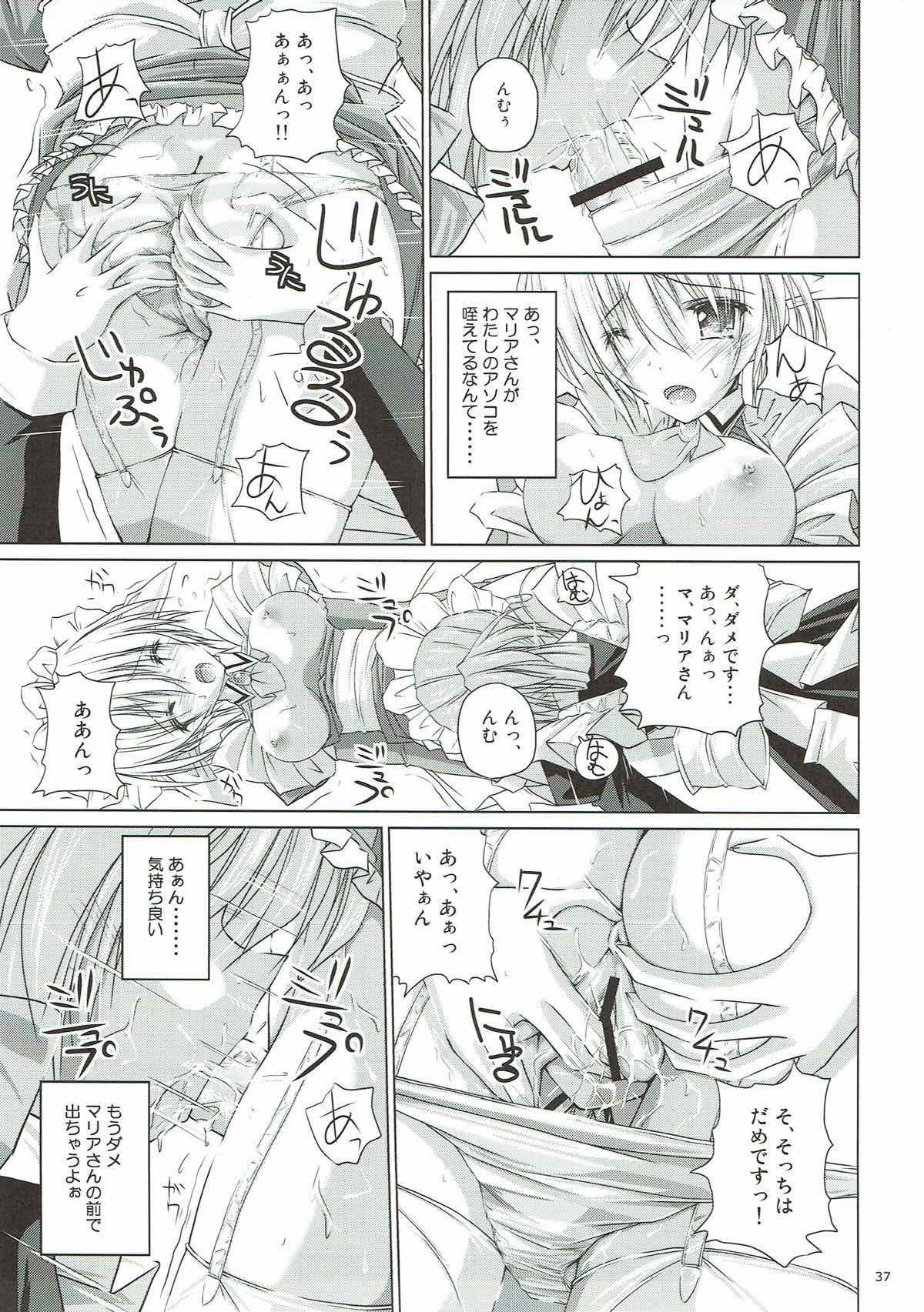 r.i.sアーカイブ1-ハヤテ本総集編-