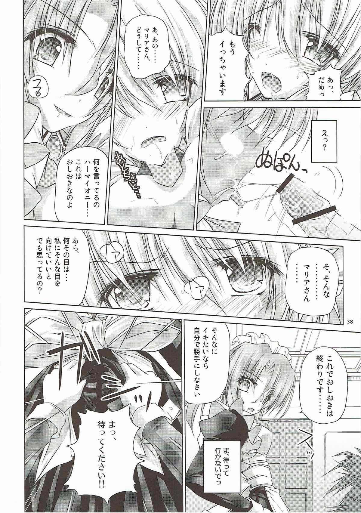 r.i.sアーカイブ1-ハヤテ本総集編-