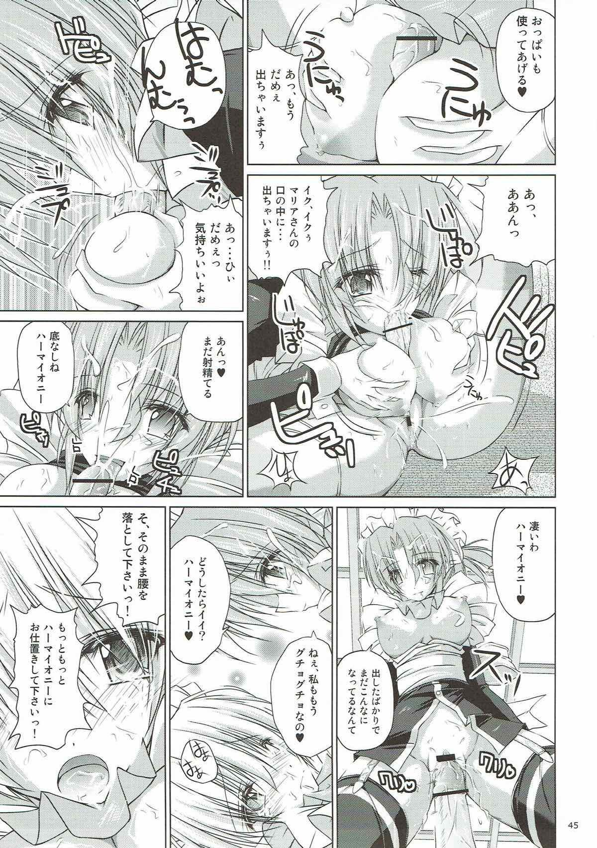 r.i.sアーカイブ1-ハヤテ本総集編-