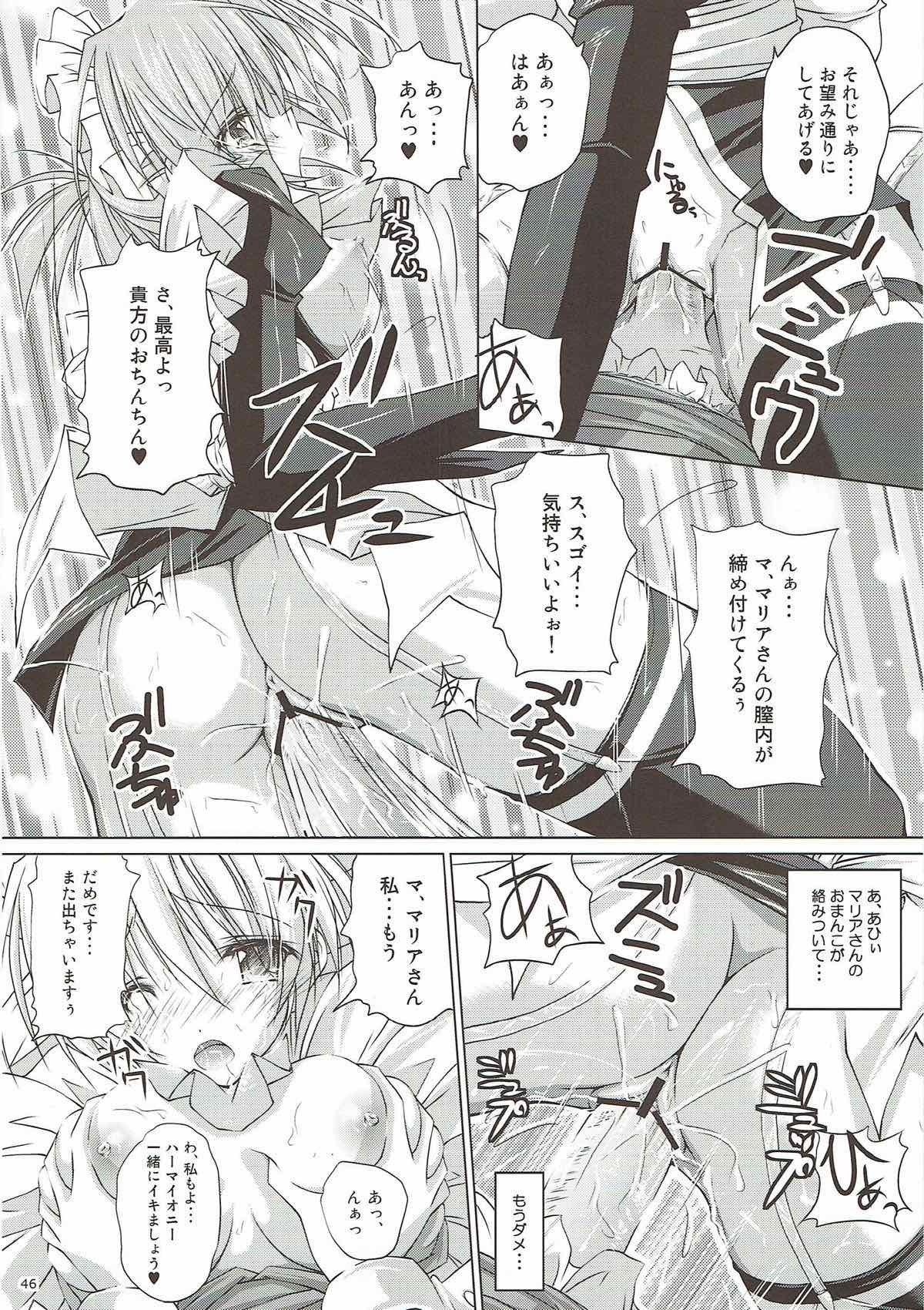 r.i.sアーカイブ1-ハヤテ本総集編-