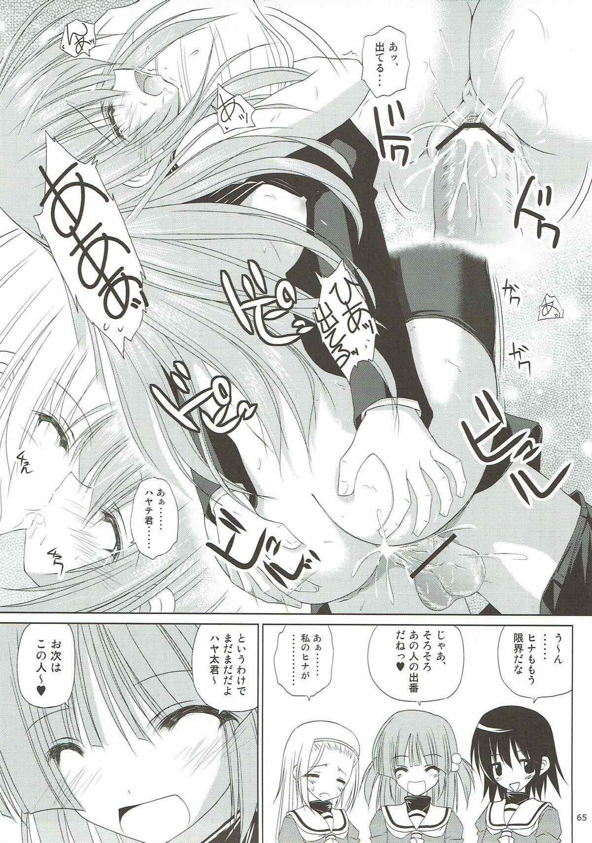 r.i.sアーカイブ1-ハヤテ本総集編-