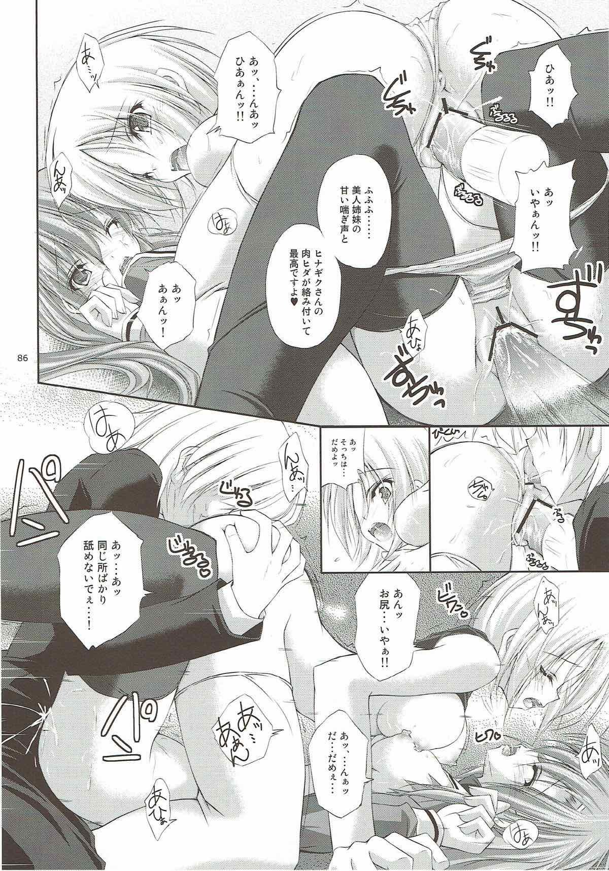 r.i.sアーカイブ1-ハヤテ本総集編-