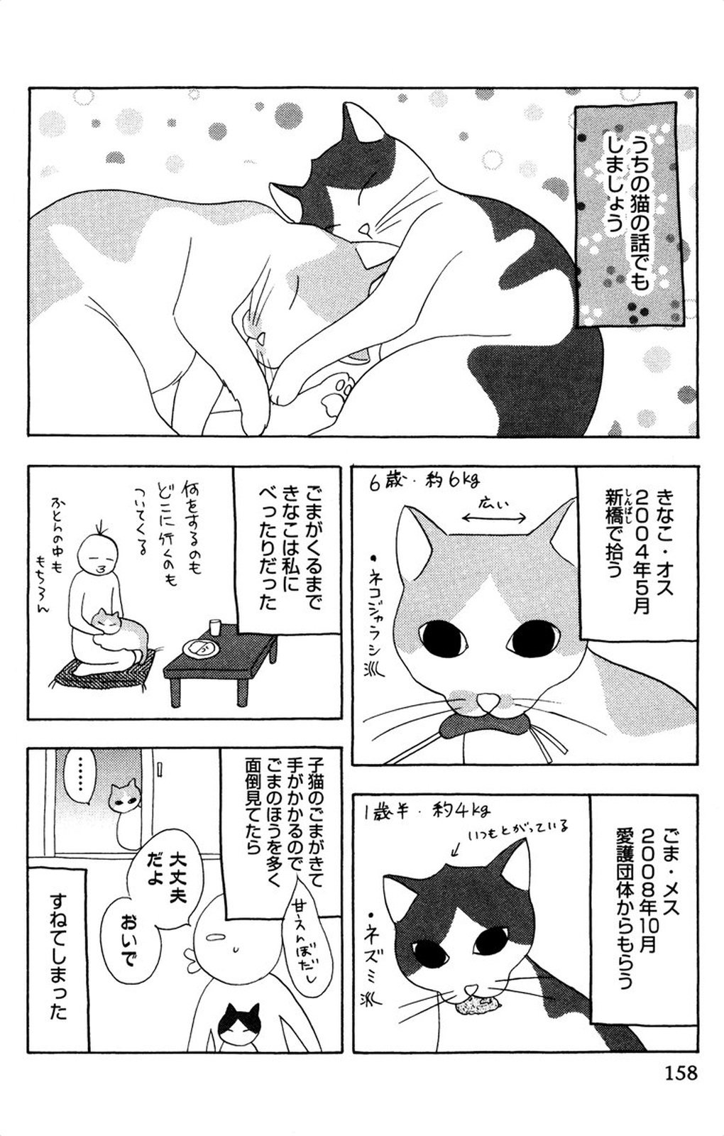 夜を愛する鬼ちゃん