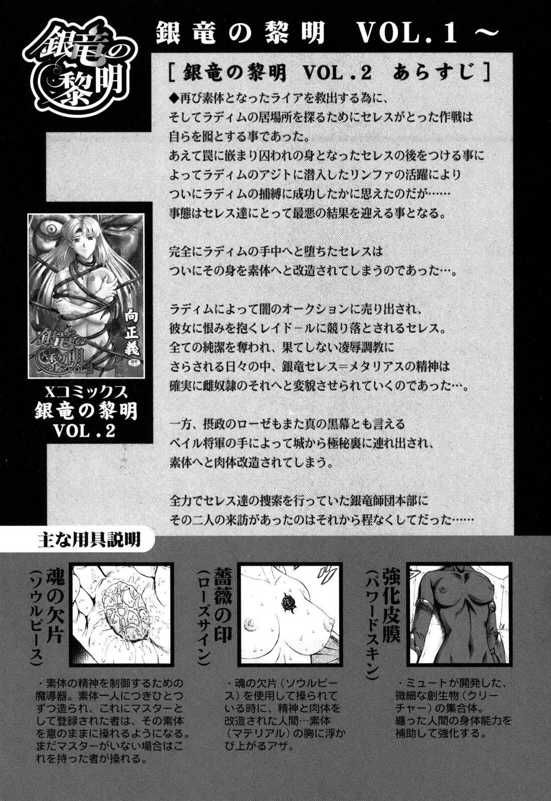 向正義〜シルバードラゴンの夜明けVol.4〜金竜の霊明〜英語+日本語〜追加チャプター付き