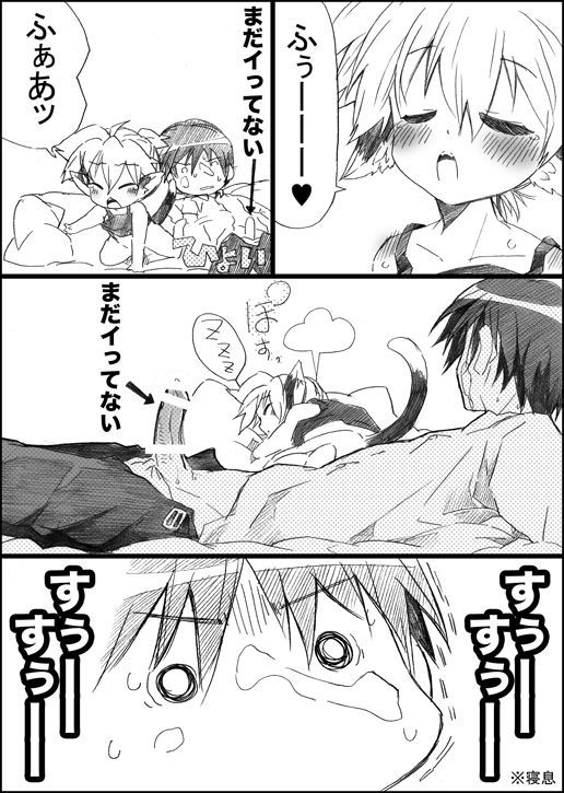 ニャンコのイル聖術
