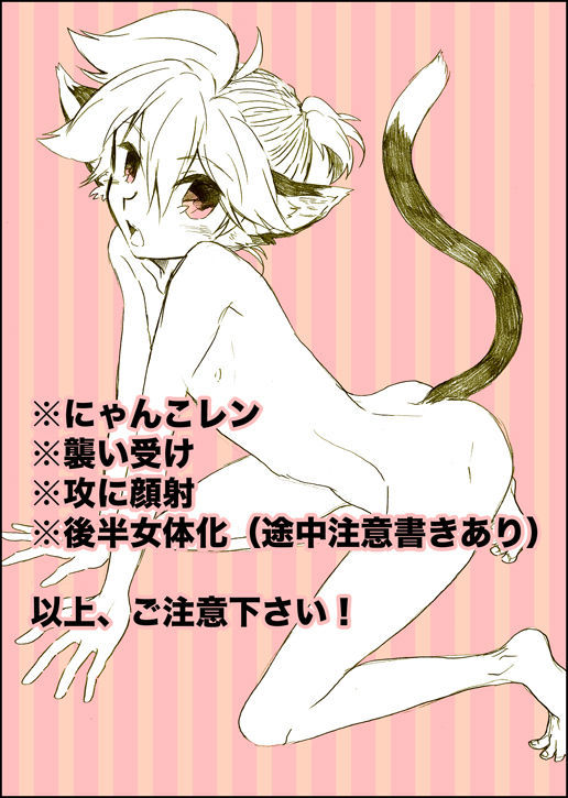 ニャンコのイル聖術