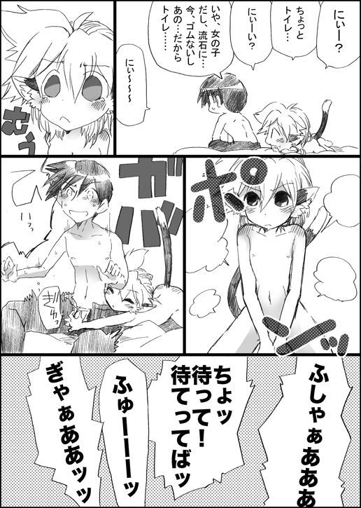 ニャンコのイル聖術