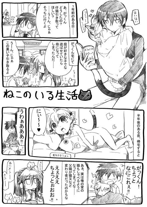 ニャンコのイル聖術