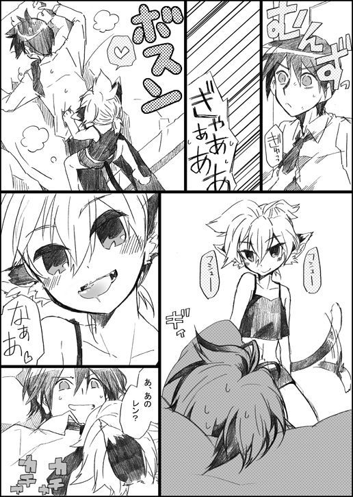 ニャンコのイル聖術