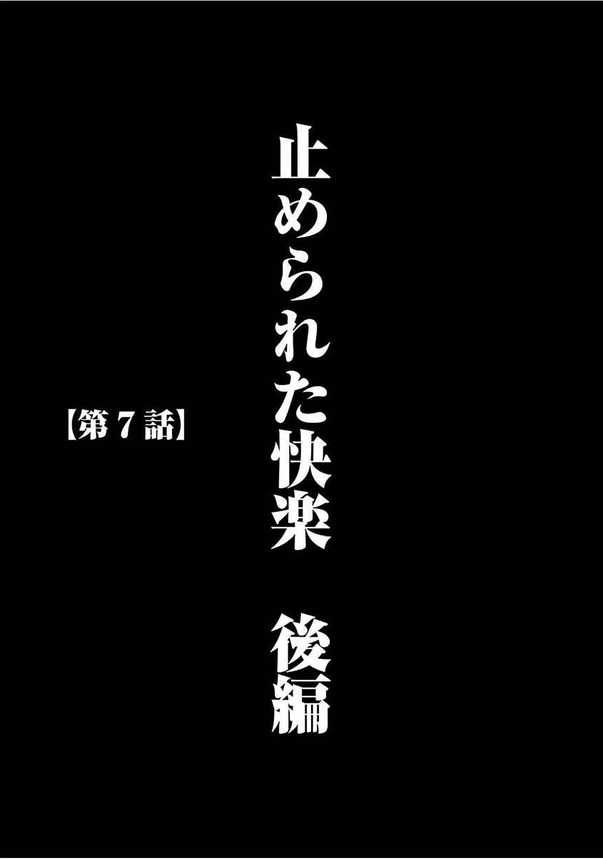 ヴァージントレインズ【かんぜんばん】