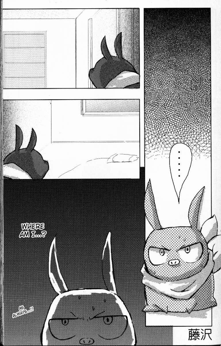 ヒャッカランラン
