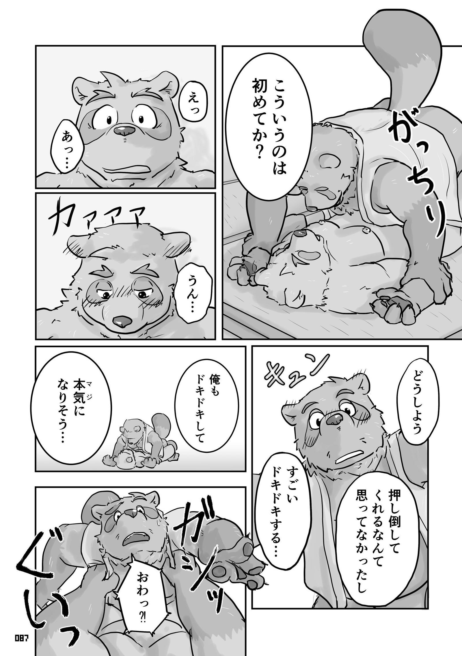 タヌキキツネ