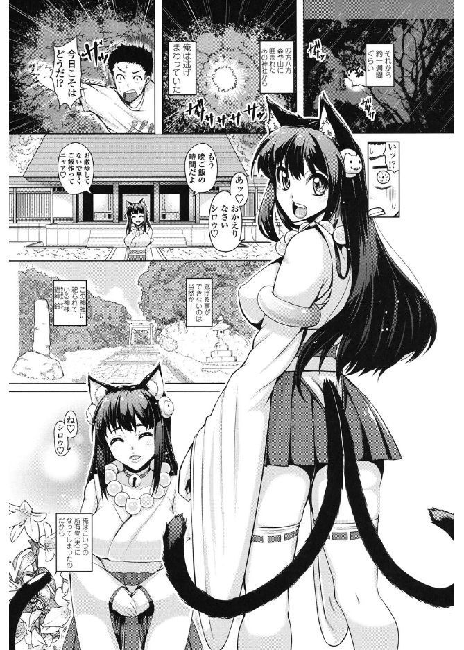 大スキこうびしよ