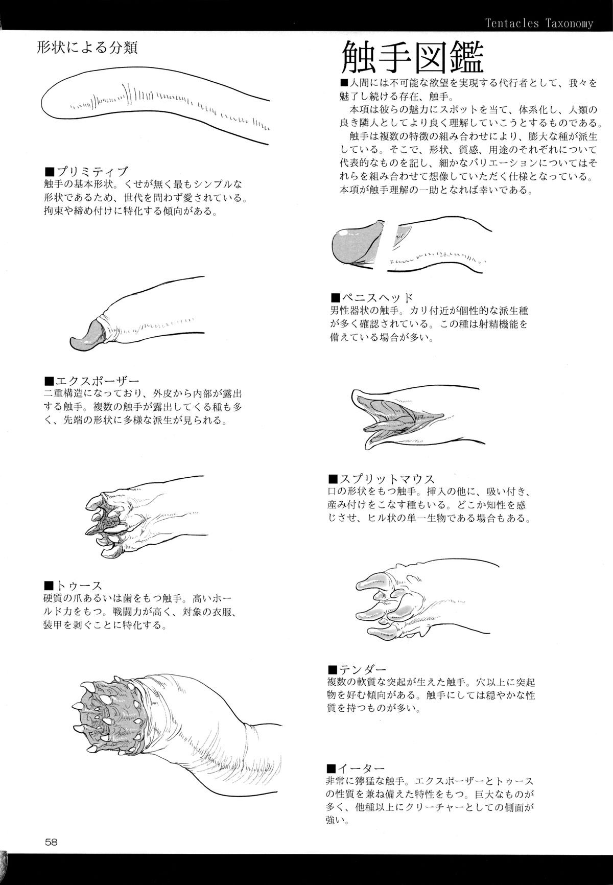 美しい貪欲なZトン神外総集編