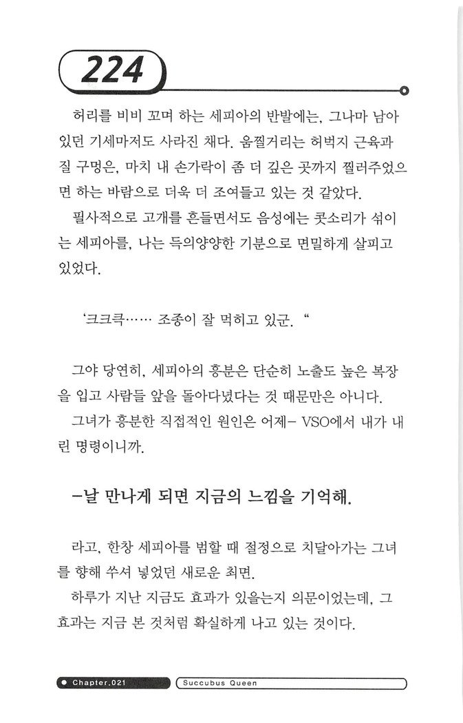 최면게임 - 타락하는 공주기사