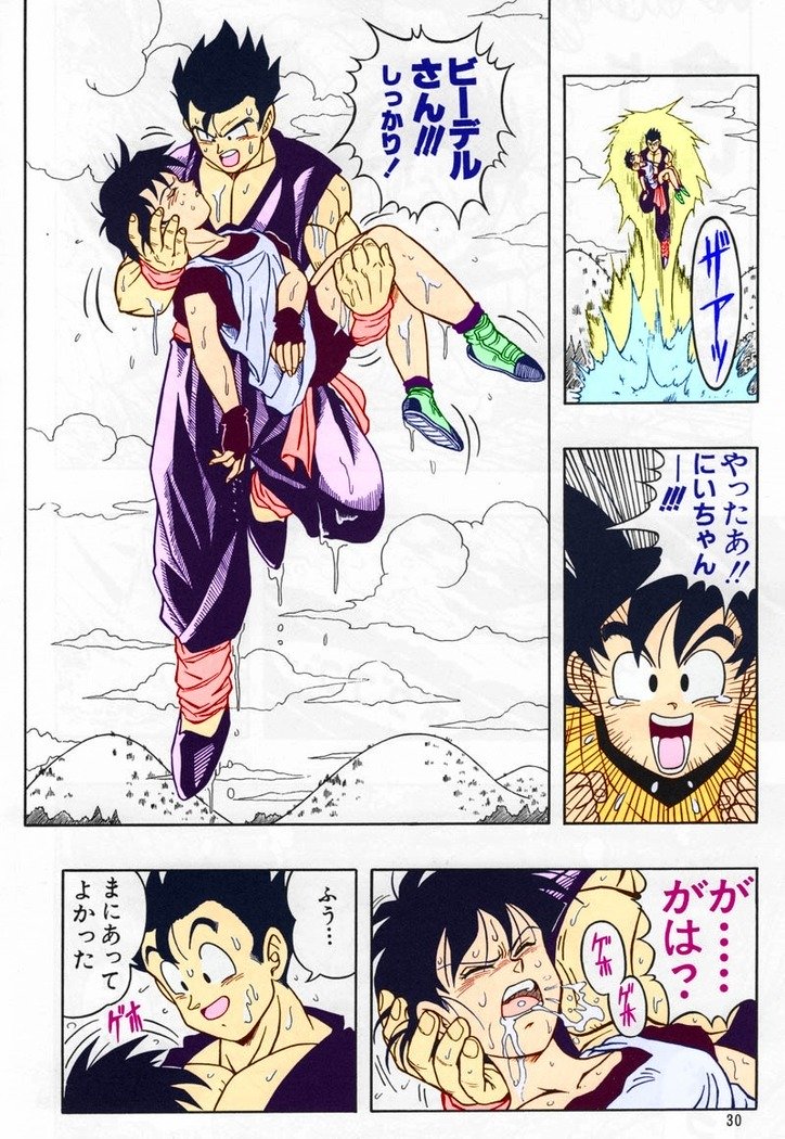 ドラゴンボールH別さとそうしゅうへん