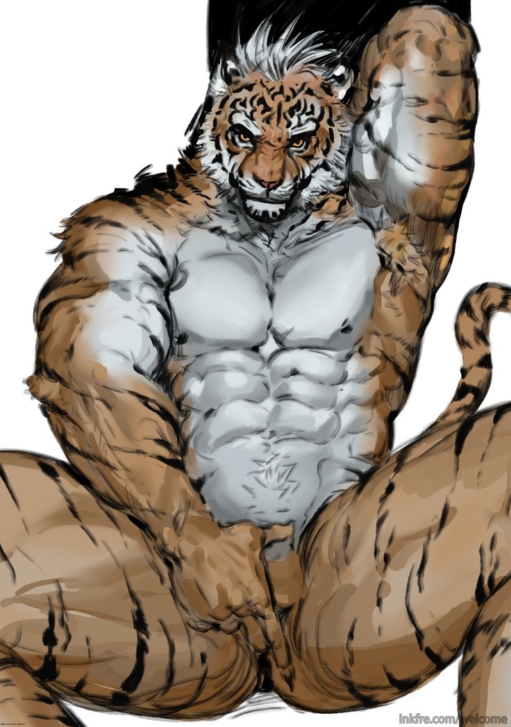 patreon-bara092017