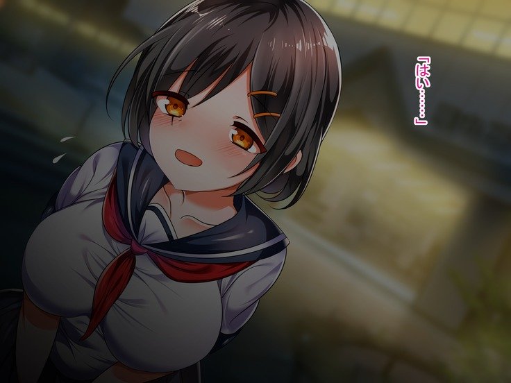 僕の彼女がマカ！？はじめてえっちはえんこうで王子さんにすきほうだいたいりょう中橋されちゃいました