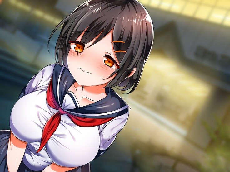 僕の彼女がマカ！？はじめてえっちはえんこうで王子さんにすきほうだいたいりょう中橋されちゃいました