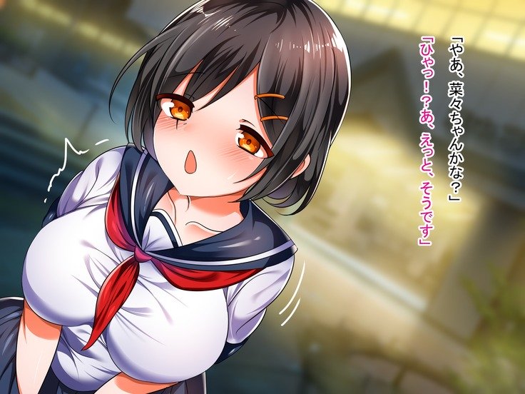 僕の彼女がマカ！？はじめてえっちはえんこうで王子さんにすきほうだいたいりょう中橋されちゃいました