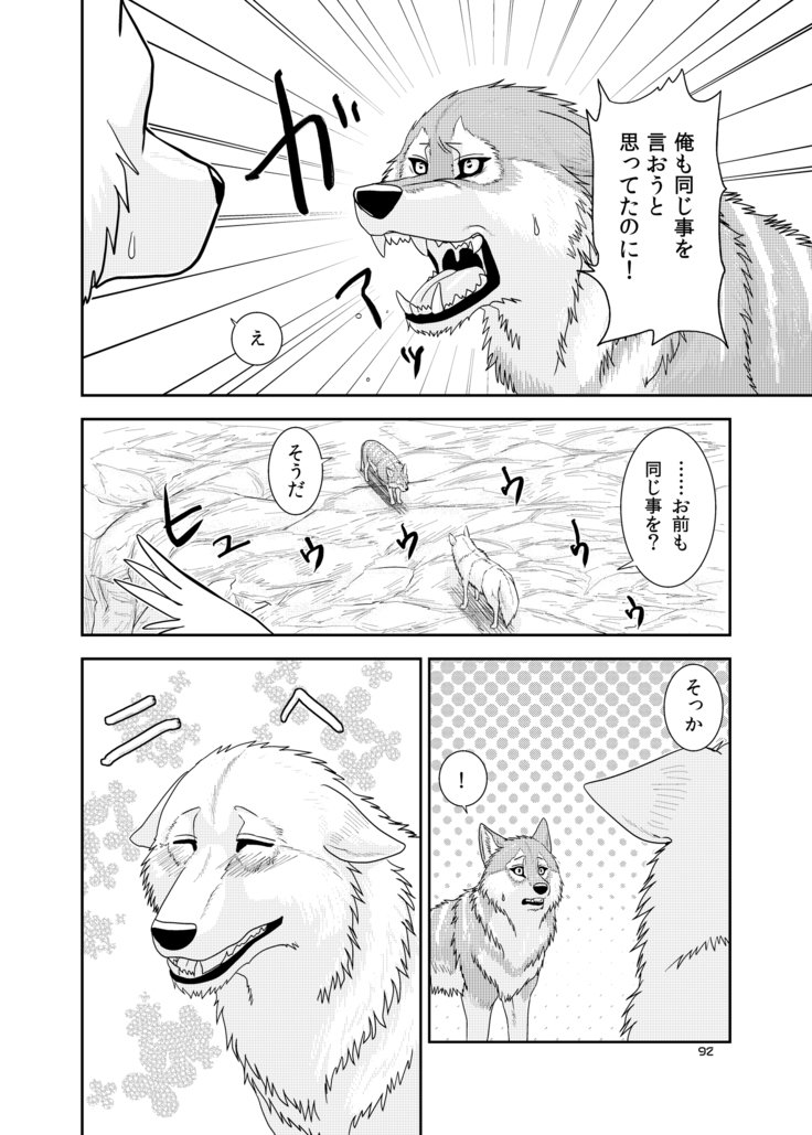 オオカミの群れ