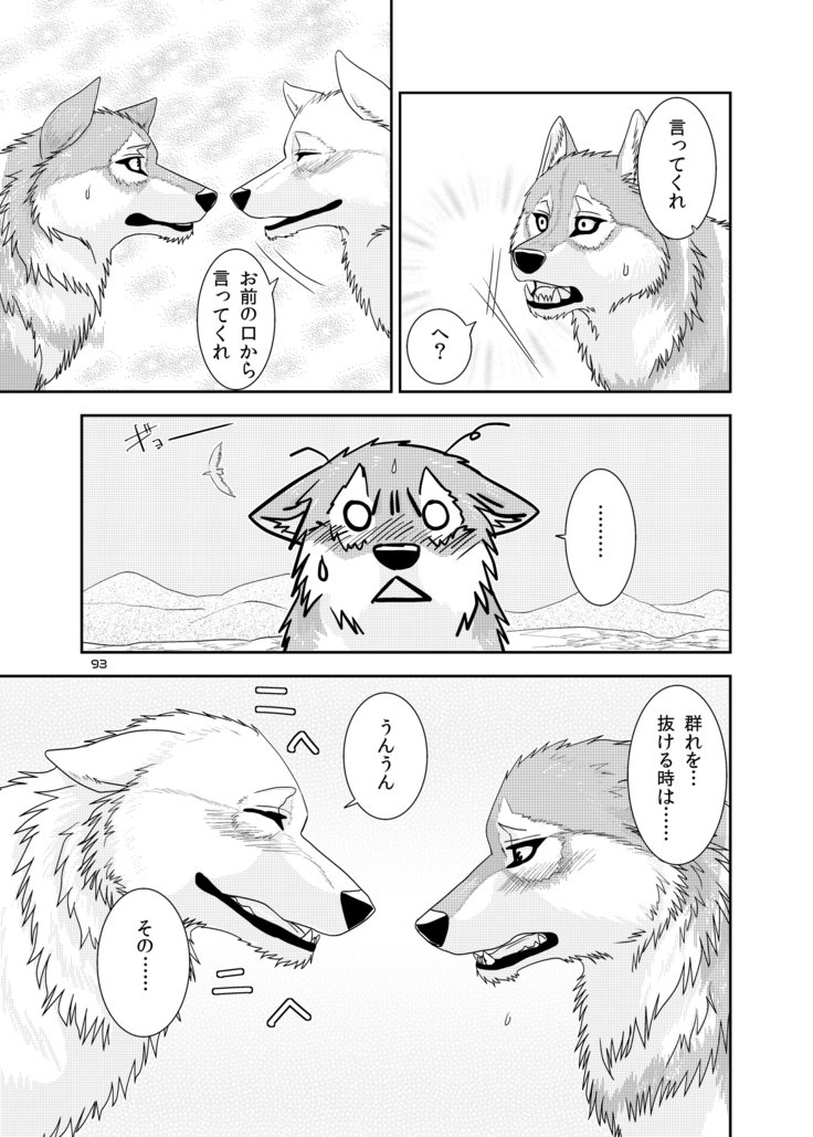 オオカミの群れ