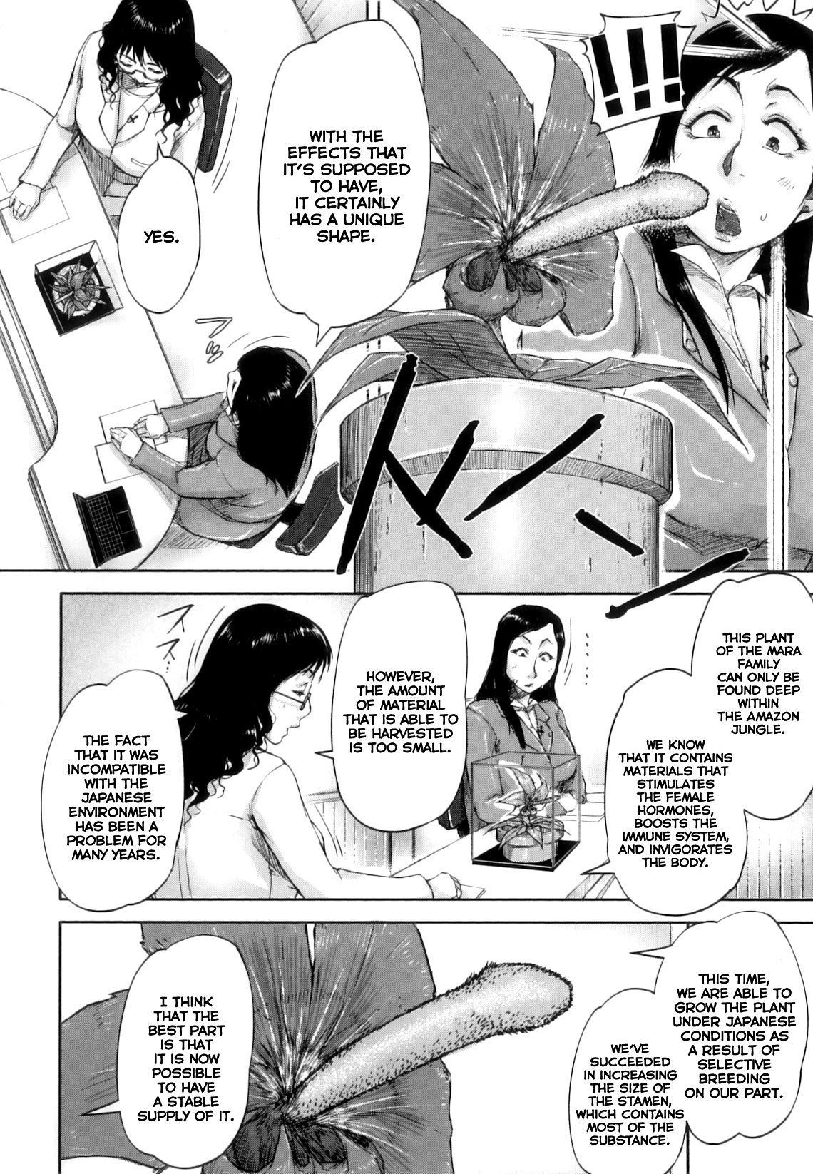 [さいやずみ] 性殖樹 <女子アナ編> (性殖樹) [英訳]