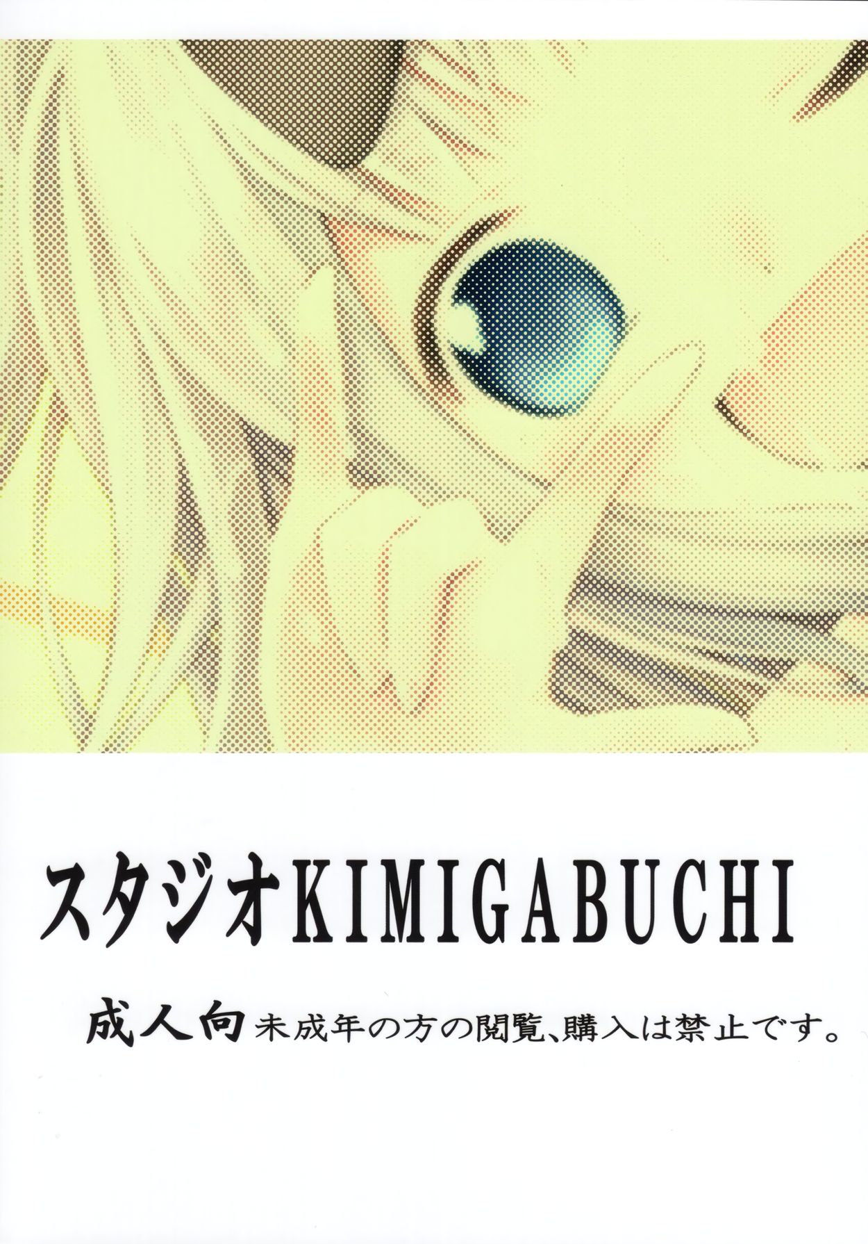 (C97) [スタジオKIMIGABUCHI (きみまる)] かぐや様は射精させたい2 (かぐや様は告らせたい) [英訳]