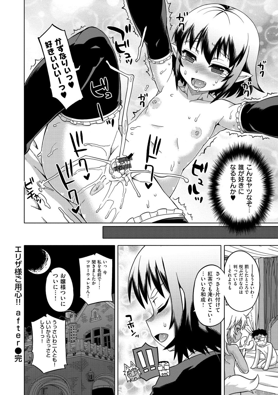 [高津] エリザ様ご用心!! [DL版]