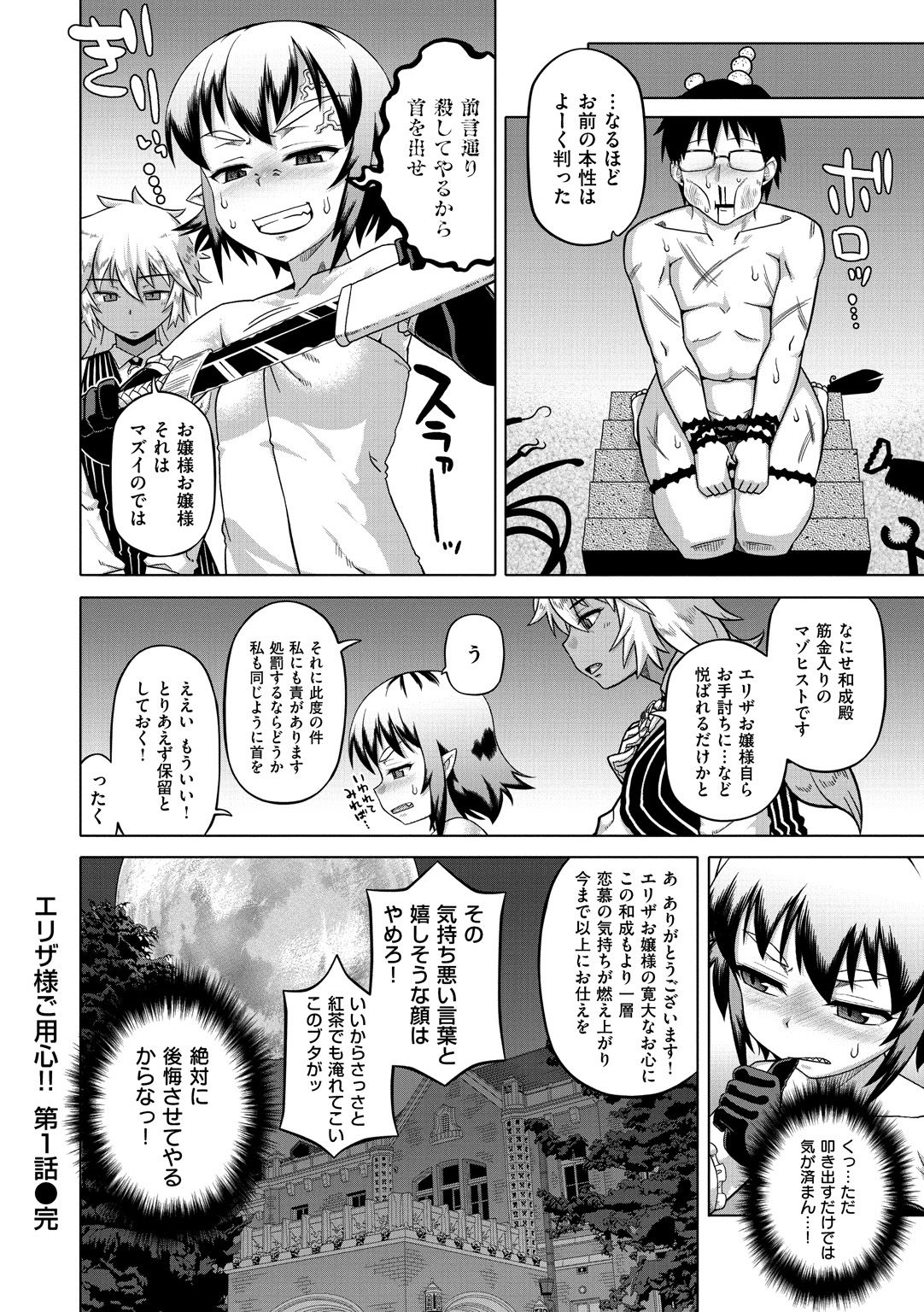[高津] エリザ様ご用心!! [DL版]