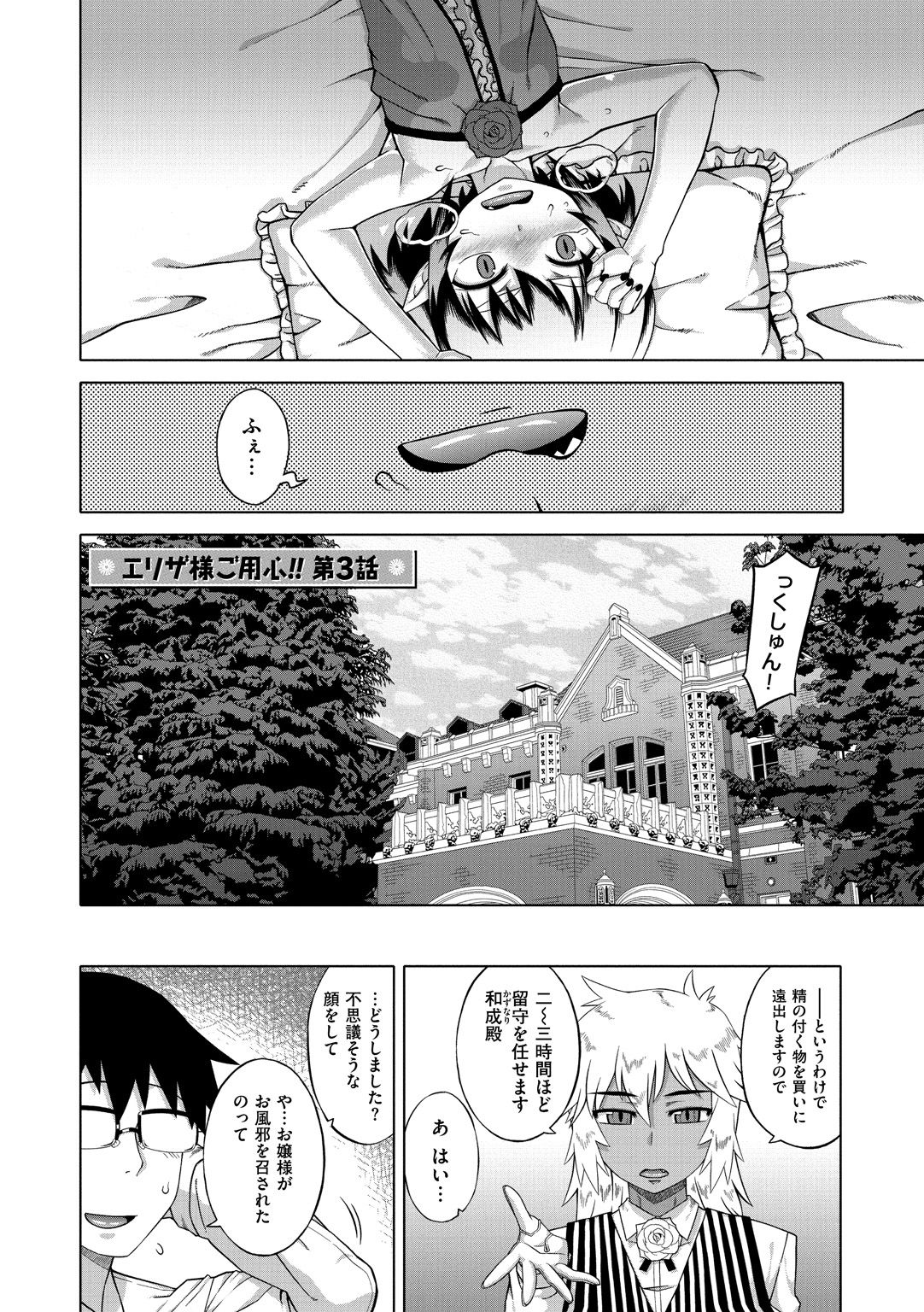 [高津] エリザ様ご用心!! [DL版]