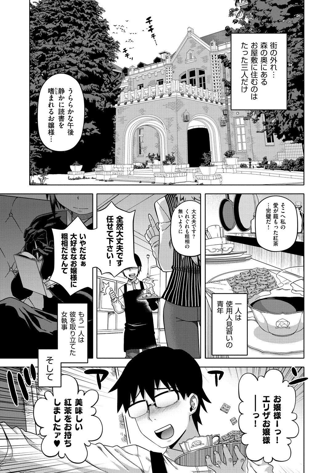 [高津] エリザ様ご用心!! [DL版]