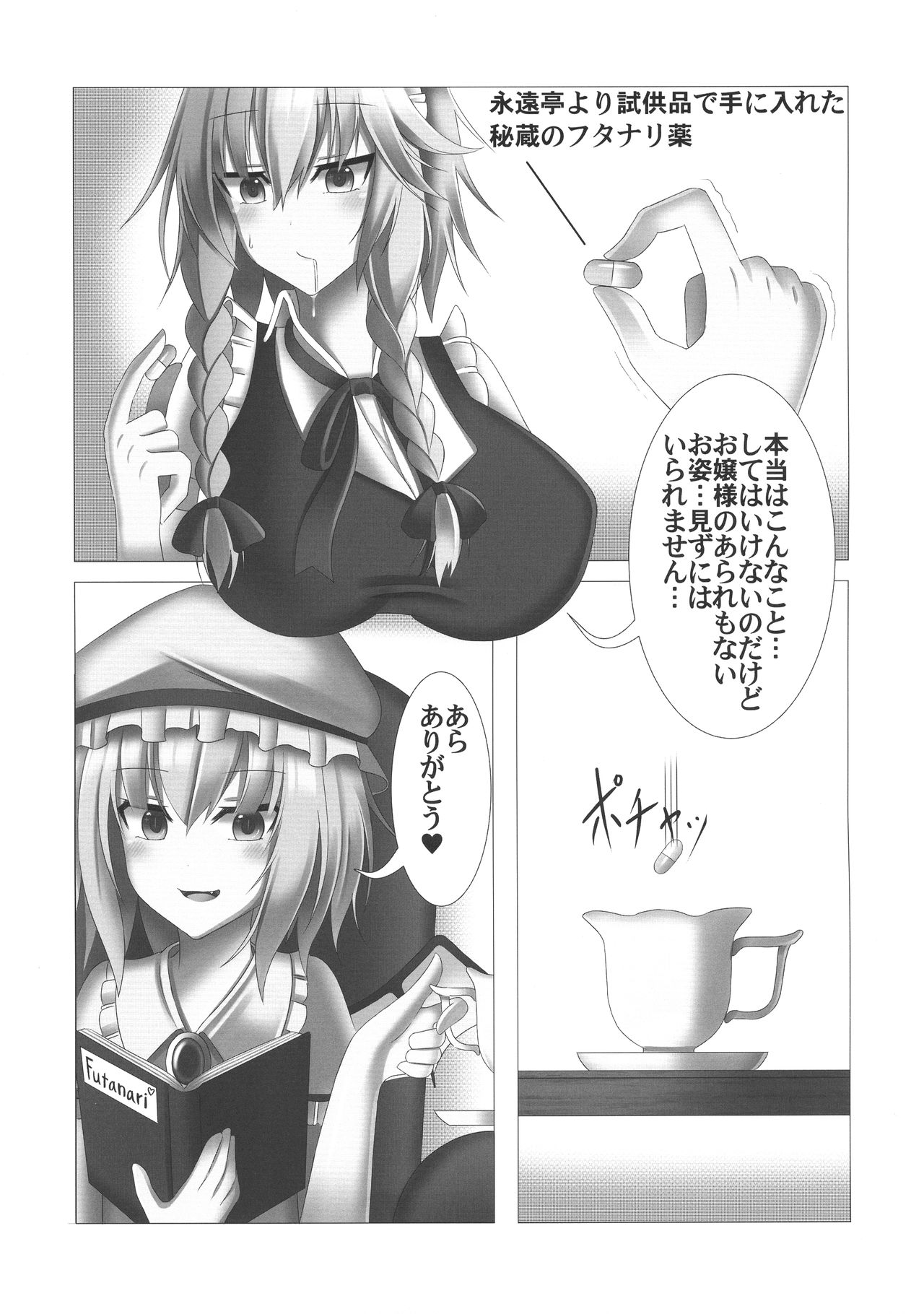 (例大祭16) [HORIC WORKS出版事業部汐留project (よろず)] 東方膨張系総合合同誌「膨女FINAL」(東方Project)