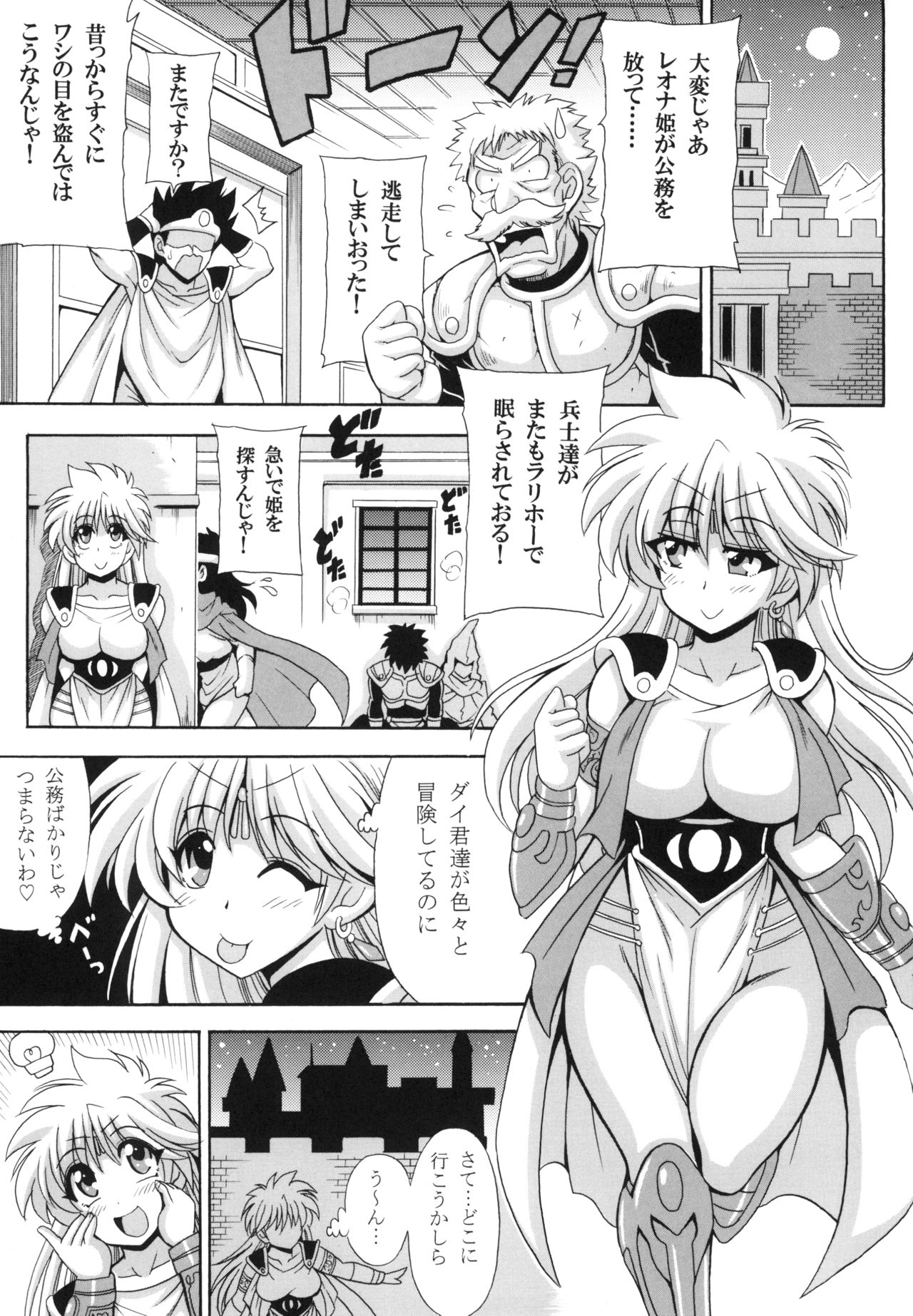 [りーず工房 (王者之風)] レオナ姫の危ない水着♡ (ドラゴンクエスト ダイの大冒険) [DL版]